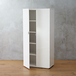 the wall wardrobe