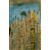 TreesRug5x8LLF11