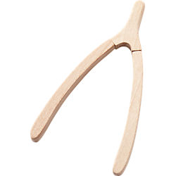 wishbone magnetic goodluck charm