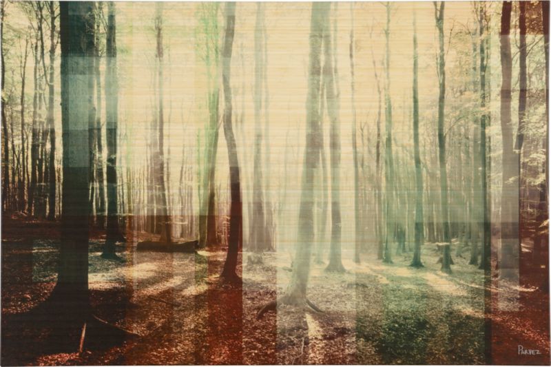 woodlands print on bamboo