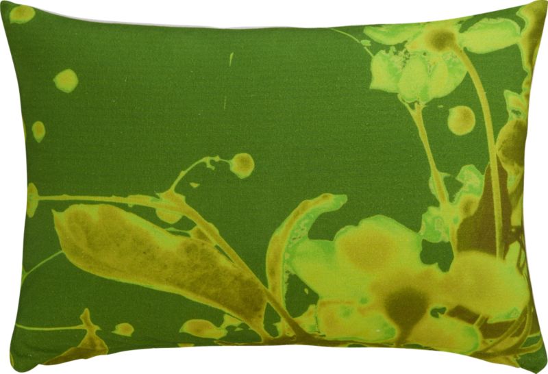 x-ray green 18"x12" pillow