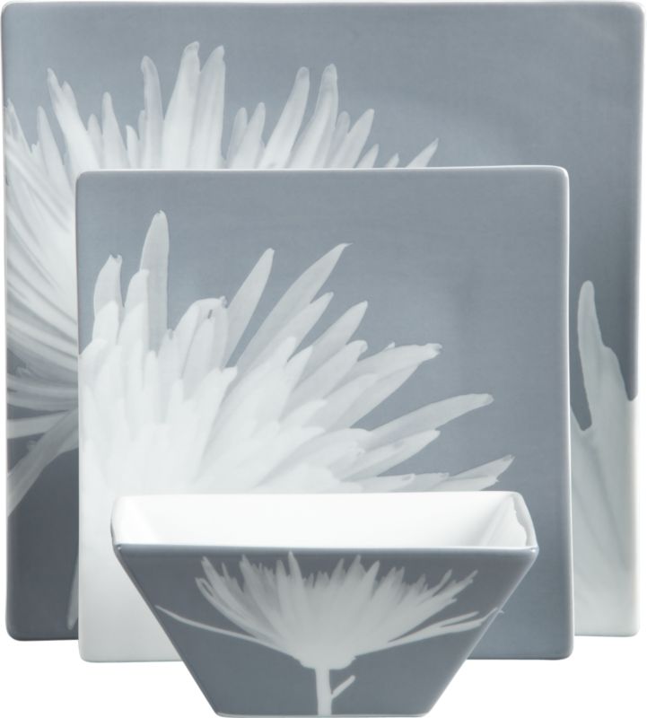 xray dinnerware