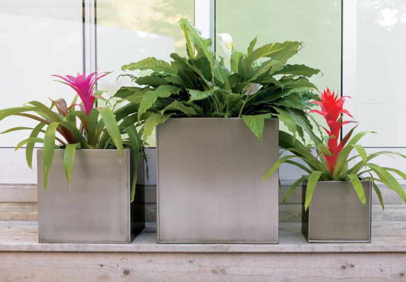 galvanized planters