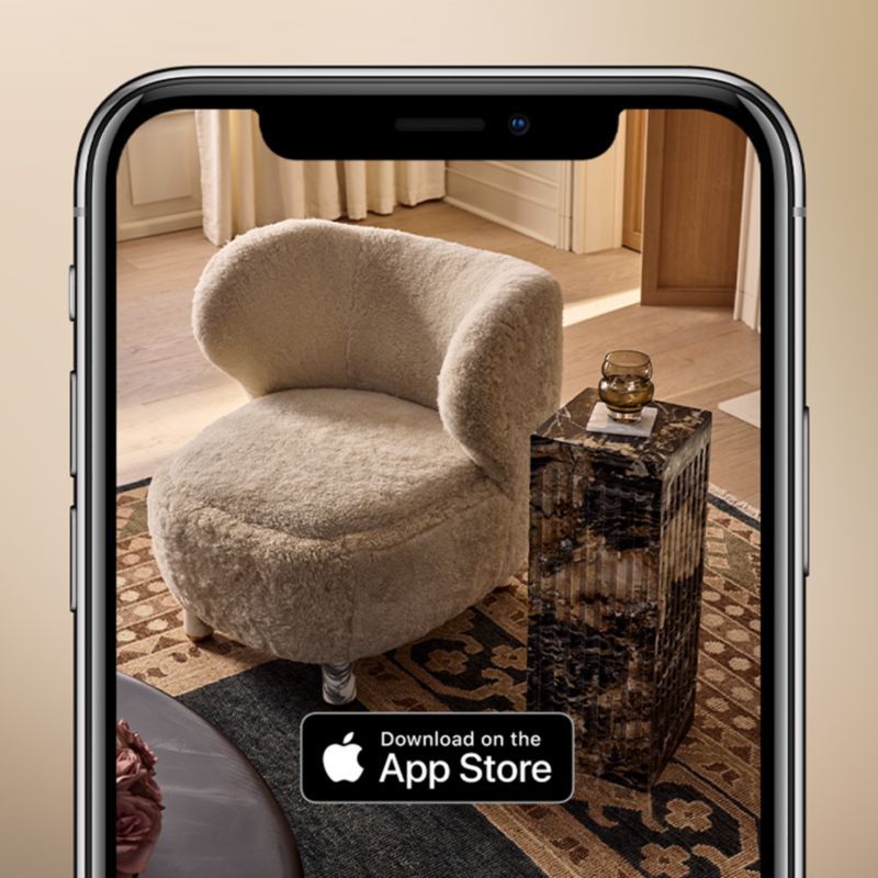  Meet the CB2 App 