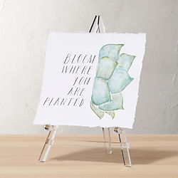 acrylic baby easel