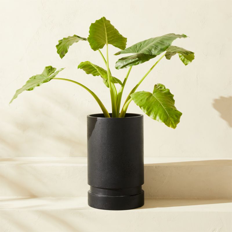 Varo Square Black Metal Indoor/Outdoor Planter 12.5"x12.5"