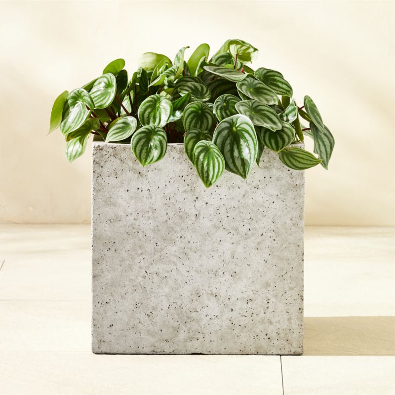 Baros Black Metal Outdoor Raised Planter Low