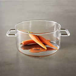 beaker glass dish with handles