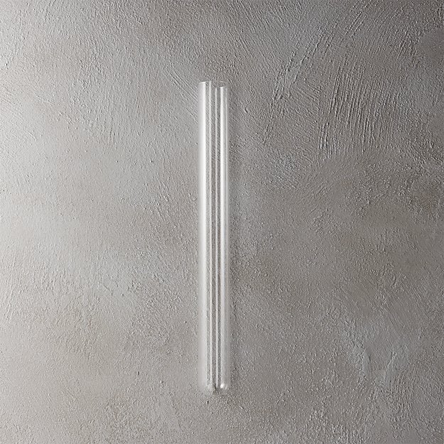 beaker glass tube 16" wall vase CB2