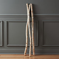 birch branch