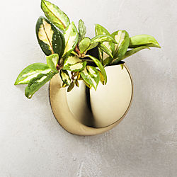 coco gold wall pocket