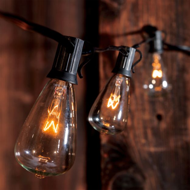 set of 2 edison string light bulbs + Reviews CB2