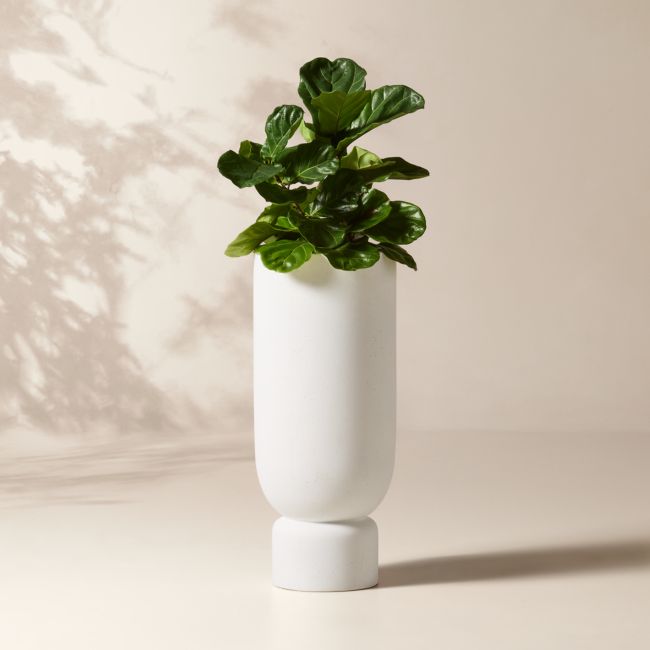 Flatform White Cement Indoor/Outdoor XL Planter 40.25"H