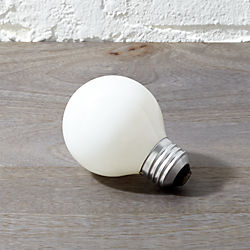 g19 frosted globe 40W light bulb
