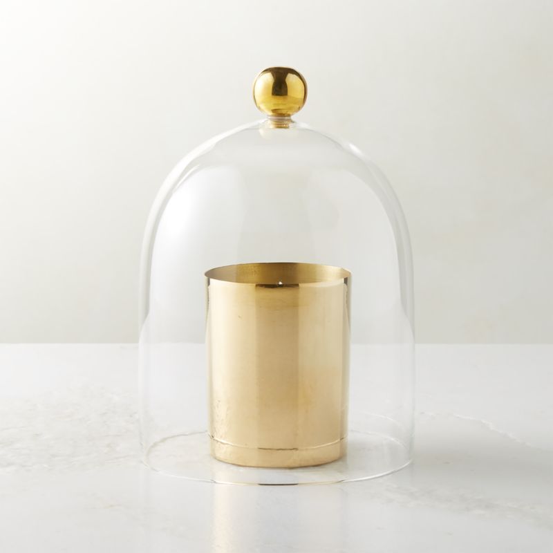 Glass Cloche with Unlacquered Brass Knob