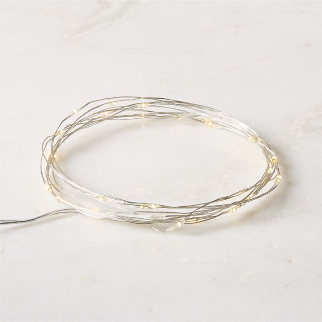 LED Indoor/ Outdoor 10' String Lights