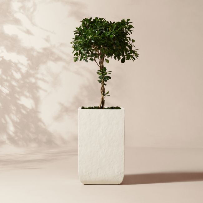 Leyla Ivory Faux Plaster Indoor/Outdoor XL Planter 32"H