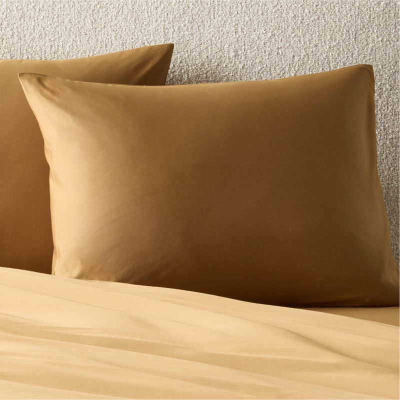 Classic Organic Cotton Percale 400 Thread Light Teal Standard Pillow Shams Set of 2