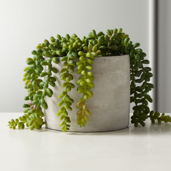 Online Designer Bedroom Faux Potted Burro's Tail 6