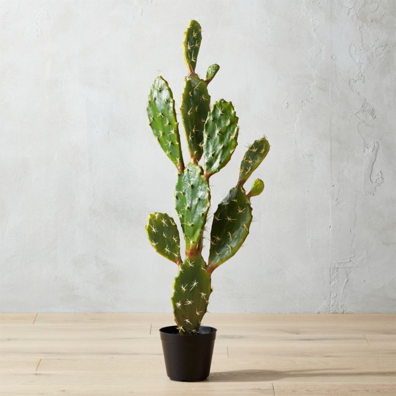 potted artificial prickly pear cactus + Reviews | CB2