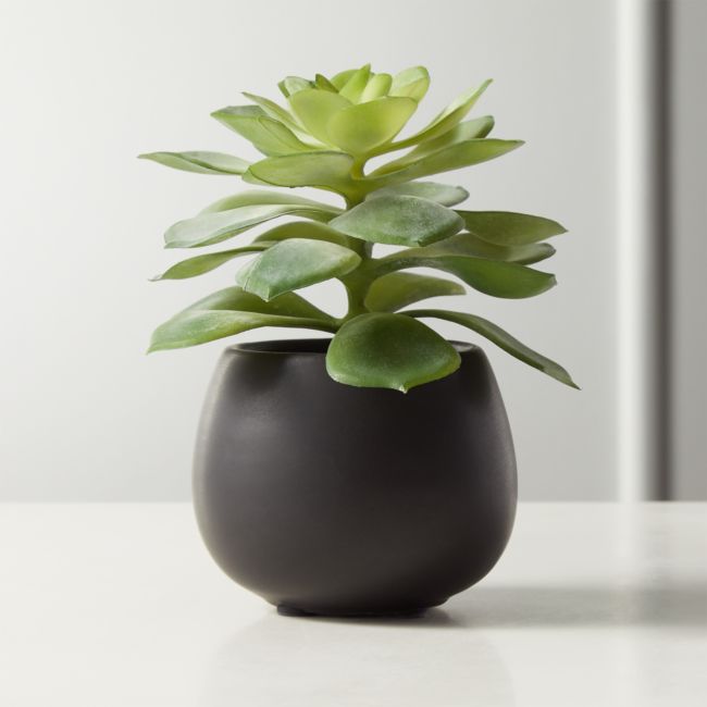 Online Designer Combined Living/Dining Faux Potted Echeveria Succulent 5.75
