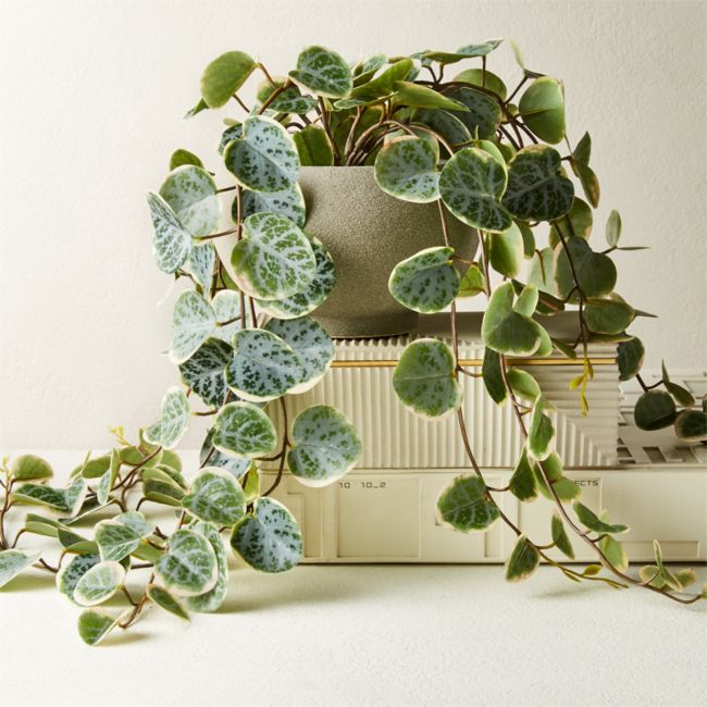 Online Designer Kitchen Potted Faux Eucalyptus 8