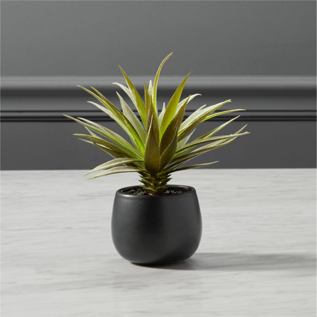 Online Designer Bathroom Faux Potted Succulent with Black Pot 7