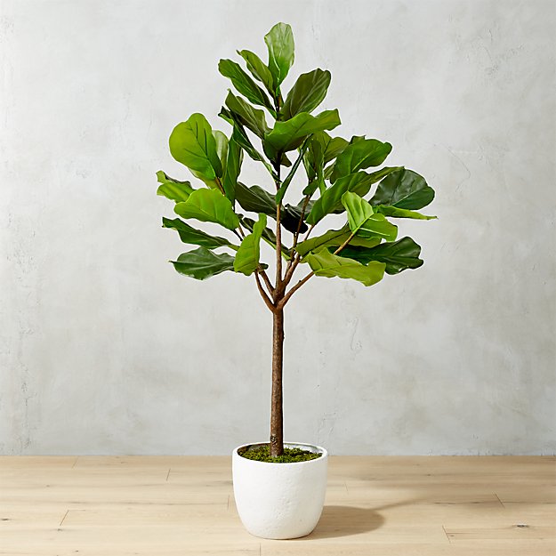 65&quot; Potted Faux Fiddle Leaf Fig CB2