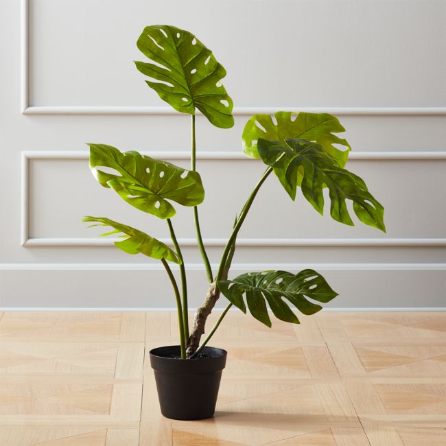 Online Designer Combined Living/Dining Faux Potted Monstera Plant 29