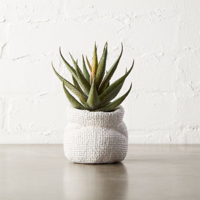 Online Designer Living Room Potted Faux Aloe Plant 6