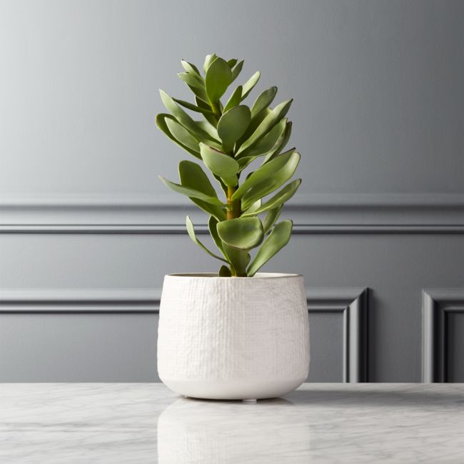 Online Designer Combined Living/Dining Potted Faux Succulent White Pot 14
