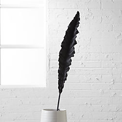 shed leaf stem