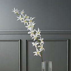 faux spider orchid stem