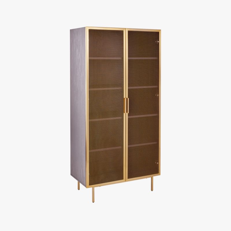 Trace Brass Wire Mesh Door Bookcase