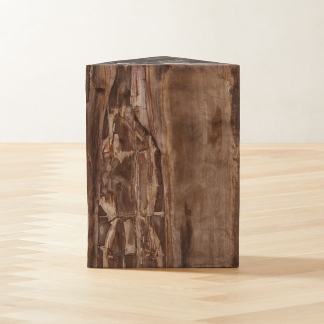 Online Designer Home/Small Office Tri Petrified Wood Side Table