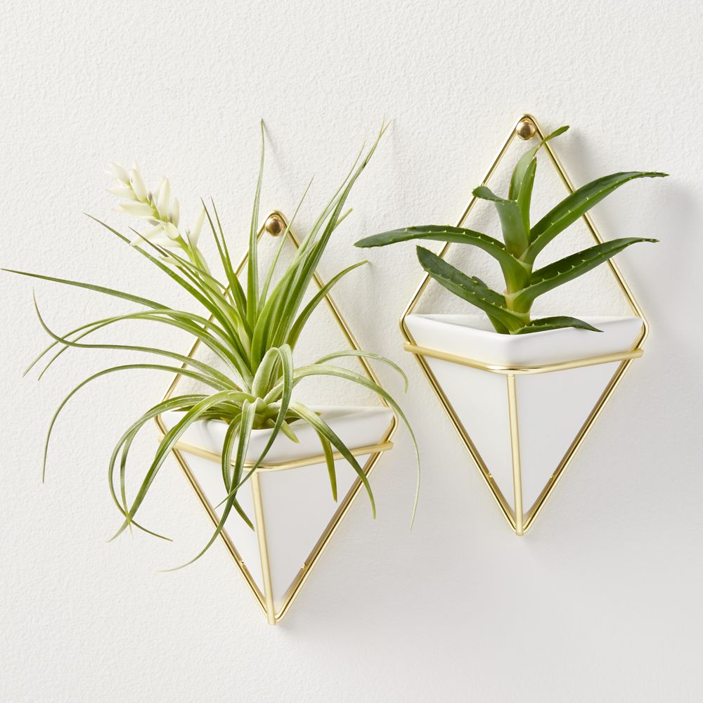 Online Designer Bedroom set of 2 trigg small wall vases