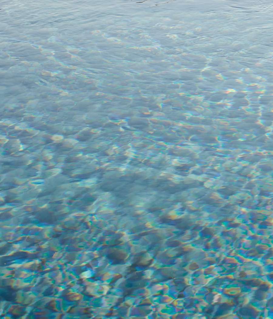 CB2 X Fred Segal CB2