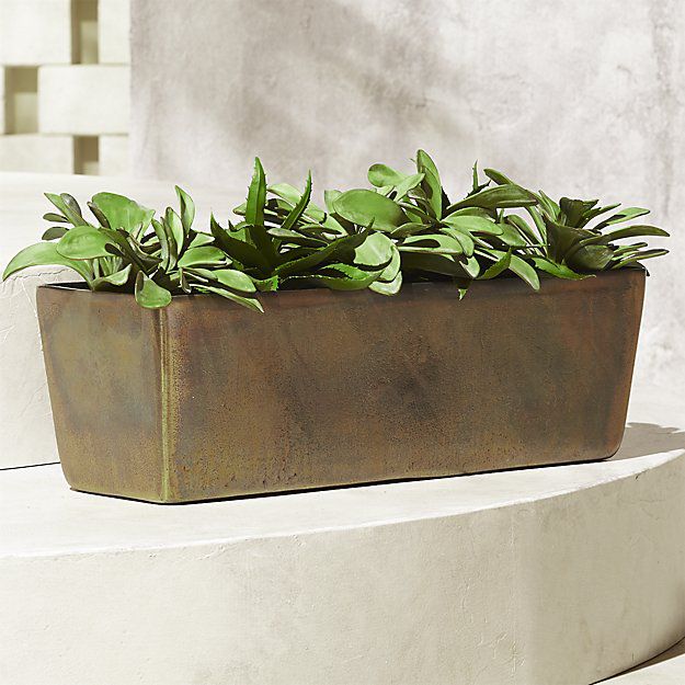 Planter Advice You'll Dig: House Plant Ideas for Indoors and Outdoors